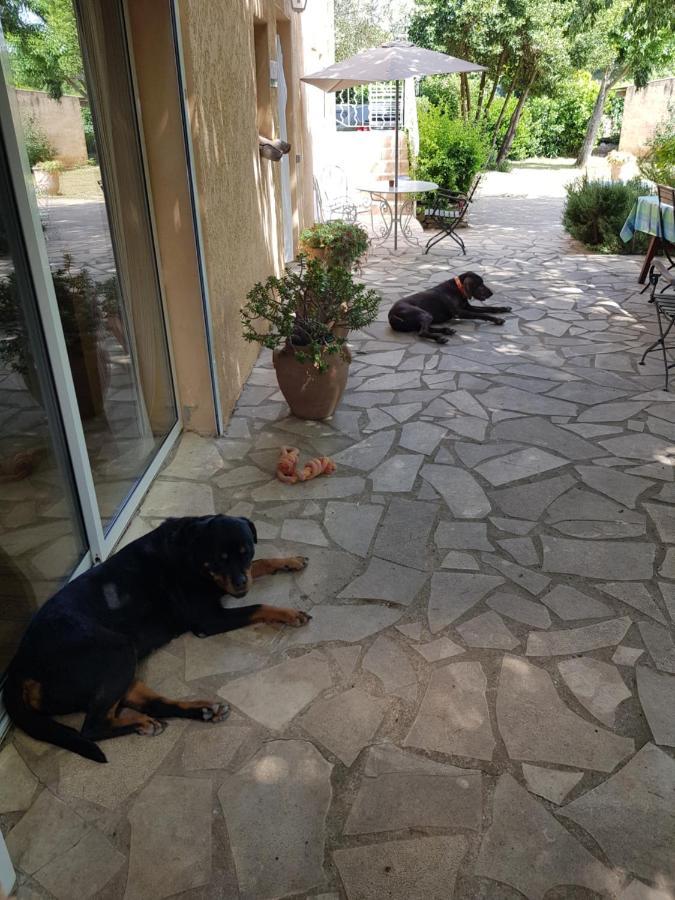 Cap Au Sud Sweet Home Nimes Exterior foto