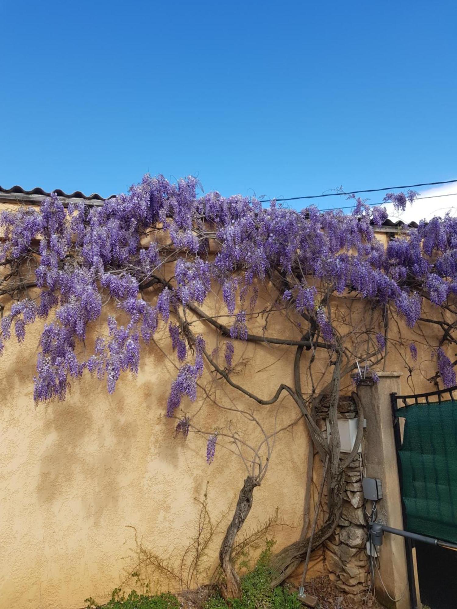 Cap Au Sud Sweet Home Nimes Exterior foto
