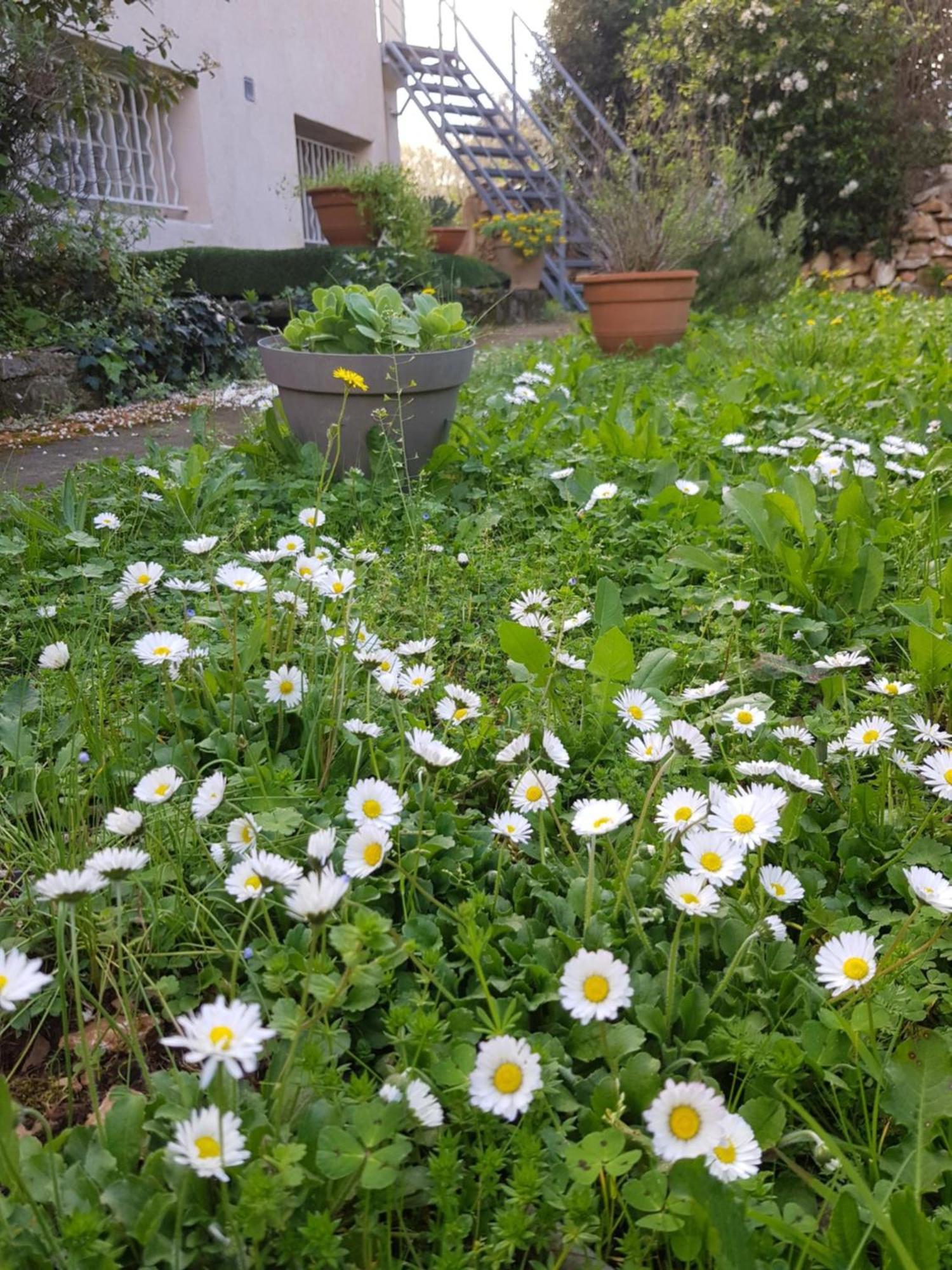 Cap Au Sud Sweet Home Nimes Exterior foto