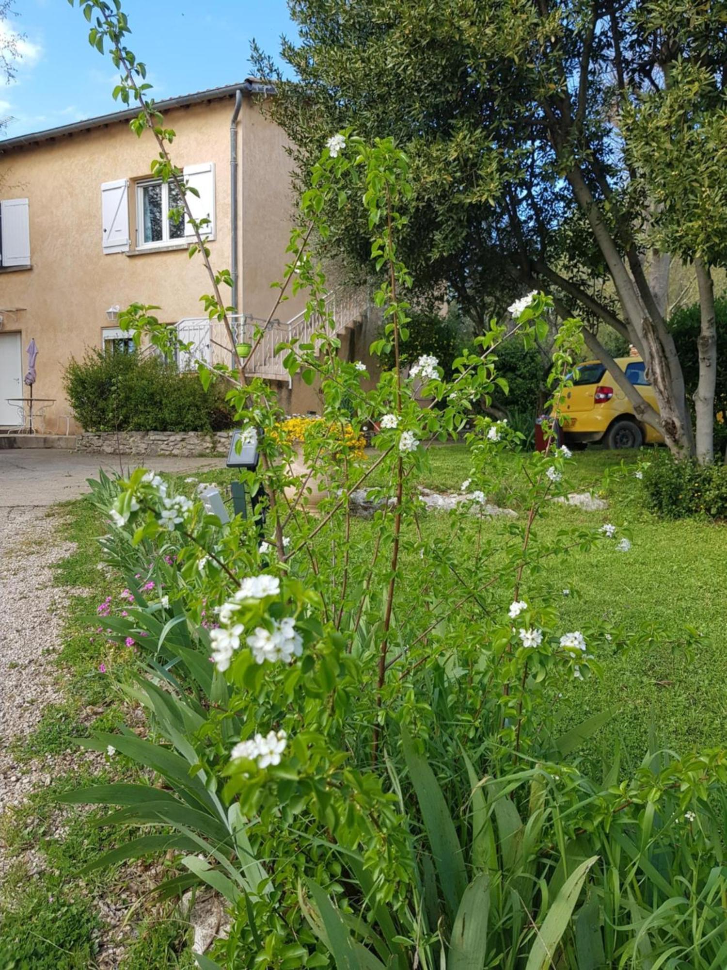 Cap Au Sud Sweet Home Nimes Exterior foto
