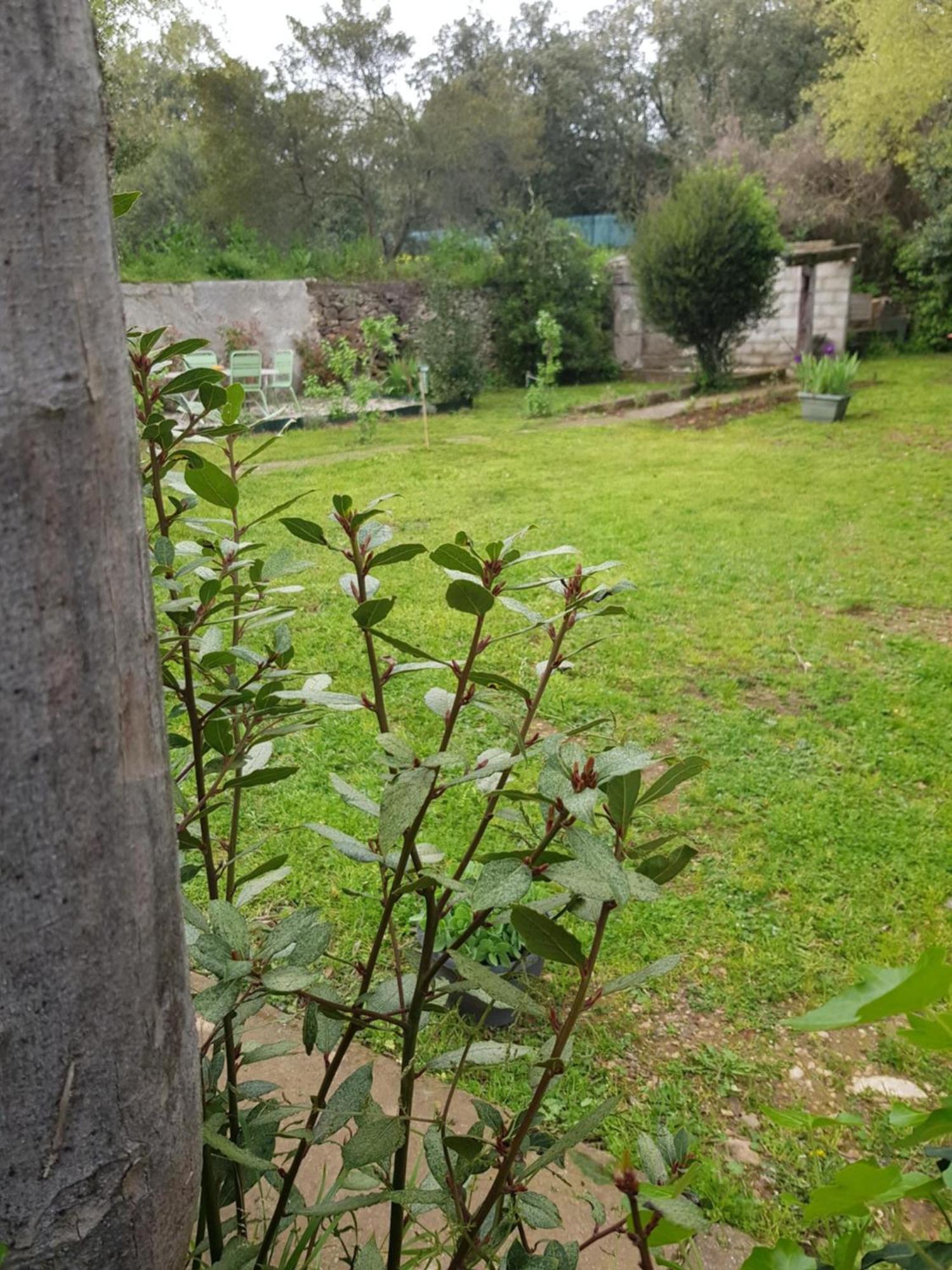 Cap Au Sud Sweet Home Nimes Exterior foto