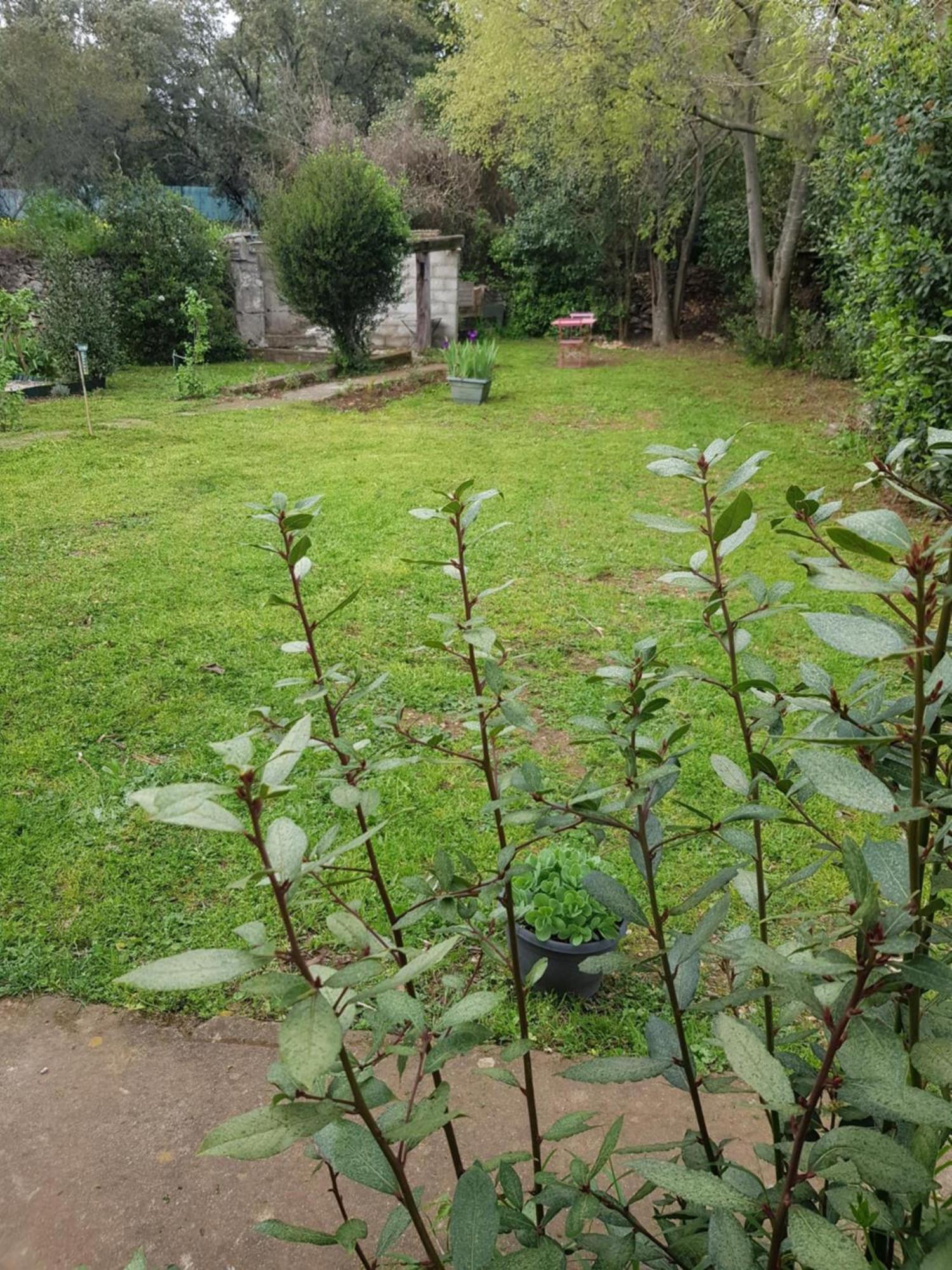 Cap Au Sud Sweet Home Nimes Exterior foto