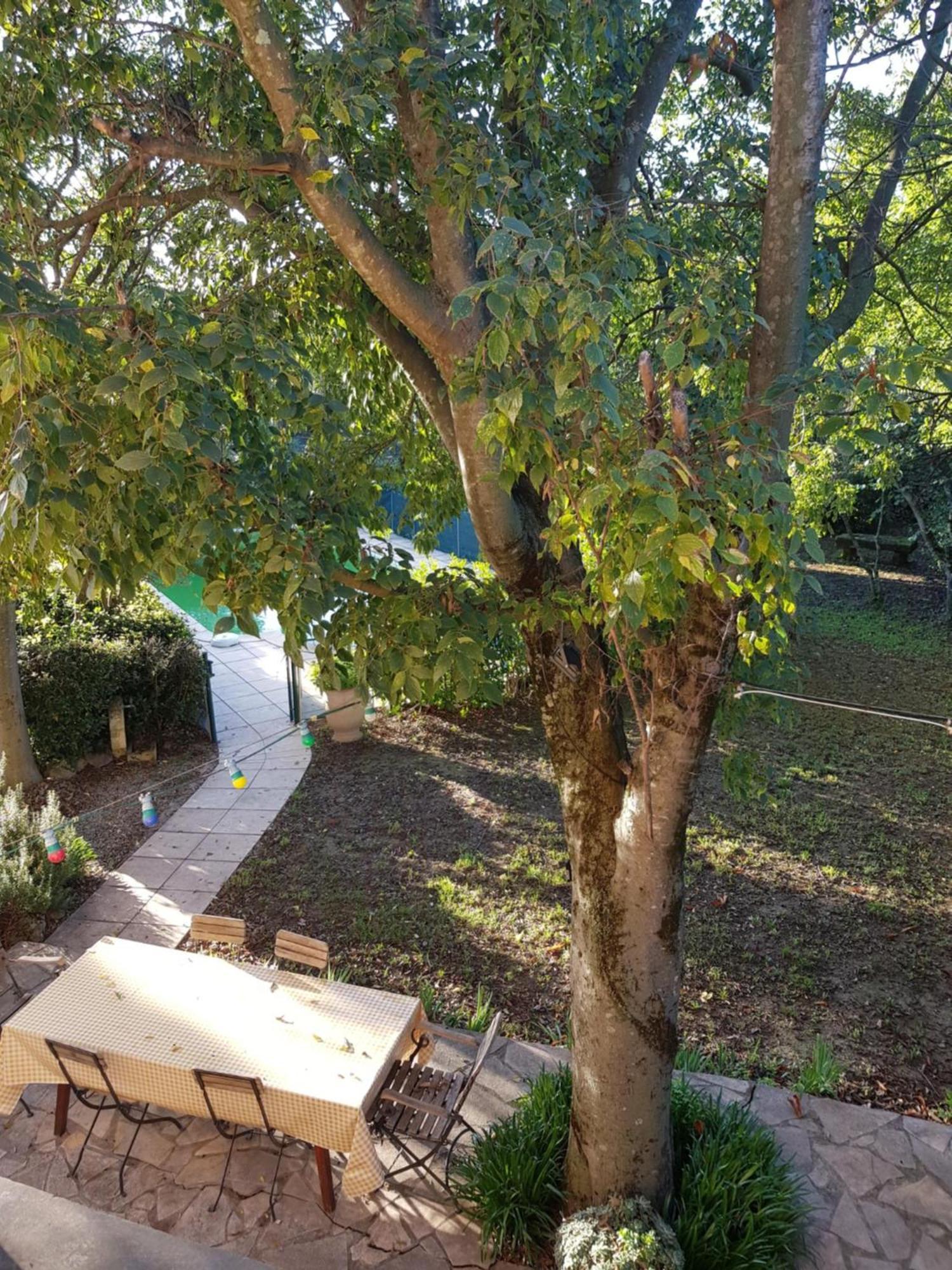 Cap Au Sud Sweet Home Nimes Exterior foto